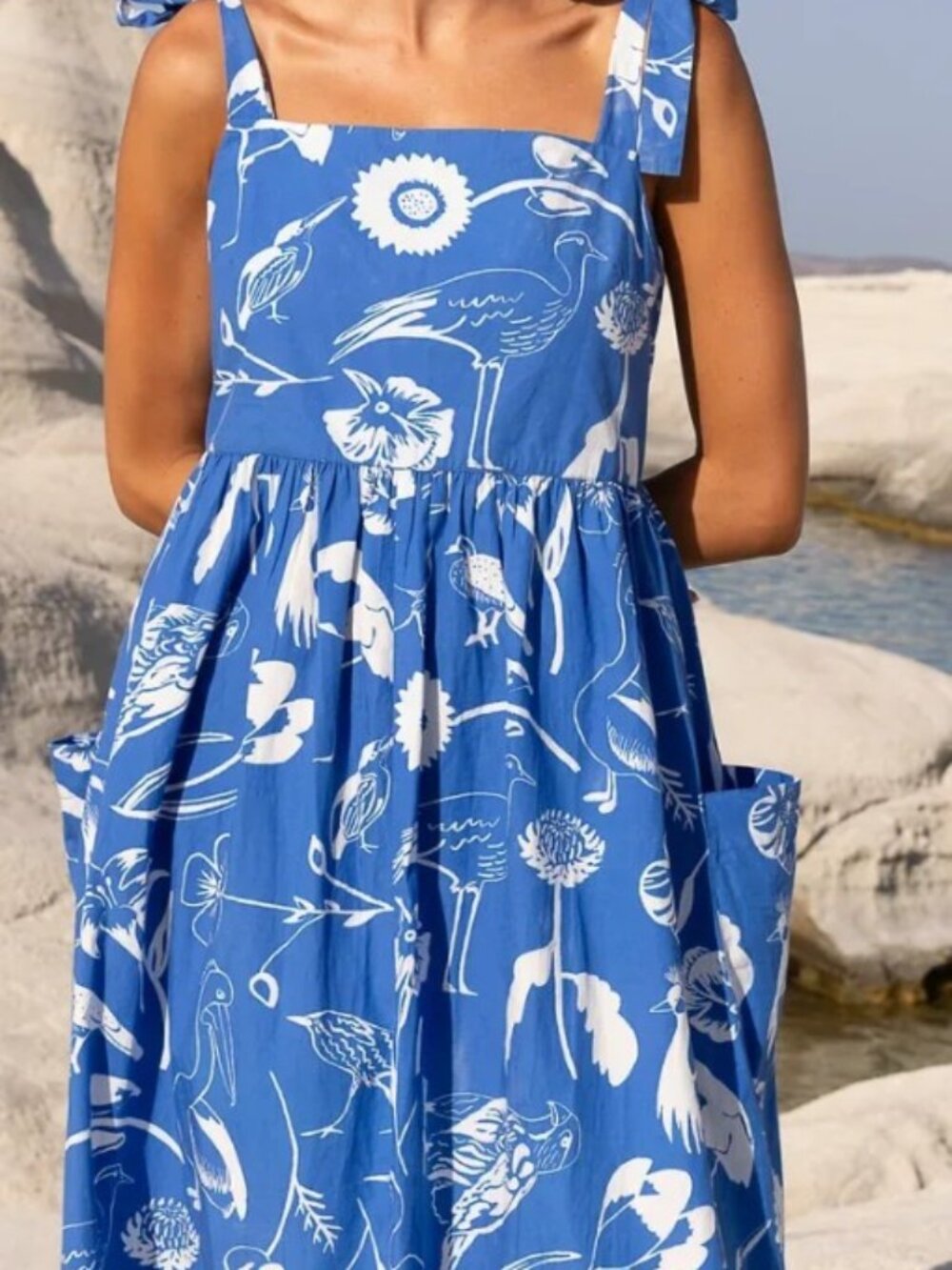 Oliphant Tie-Strap Midi Dress in Blue Audubon Print | Size Small